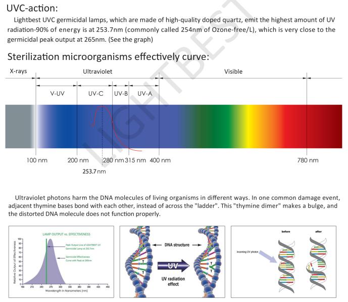 pneumonie à mycoplasmes