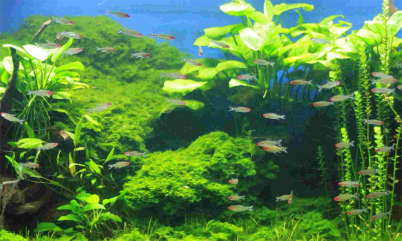 Vulgarisation scientifique2