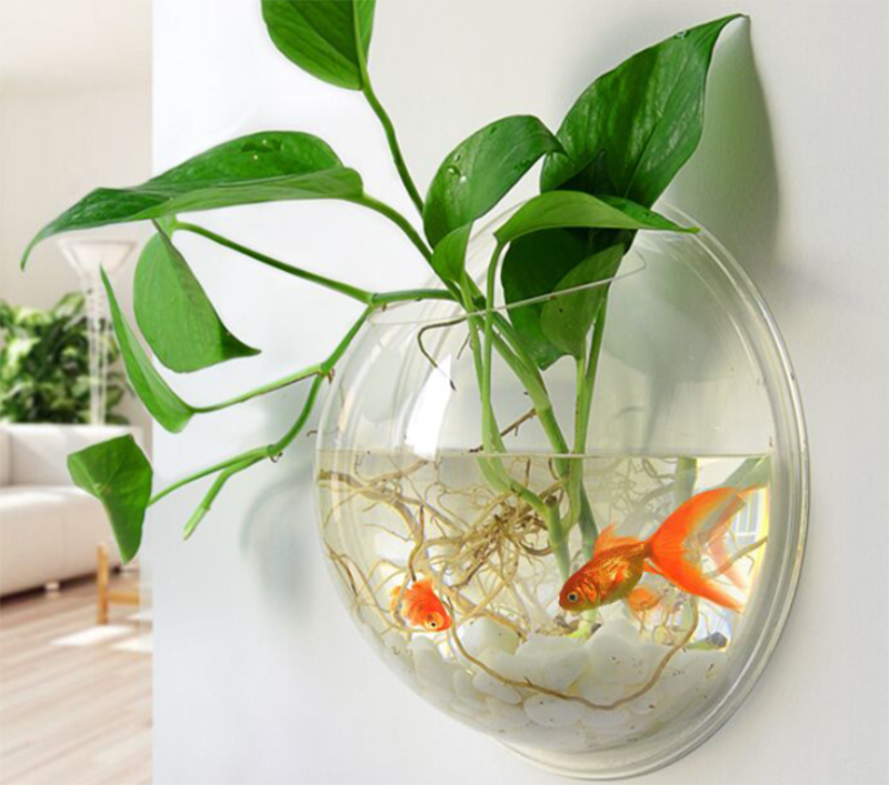 Vulgarisation scientifique3