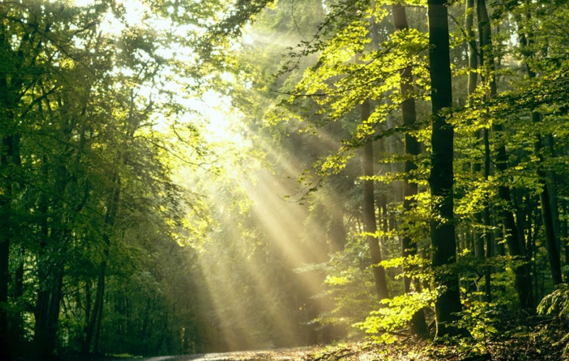 Qu’estce que la photocatalyse ULTRAVIOLET ?