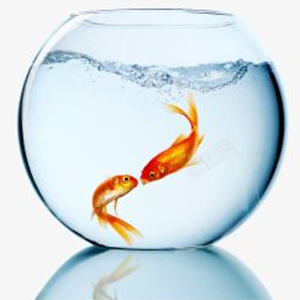 Vulgarisation scientifique – Utilisation correcte de la lampe de stérilisation ultraviolette pour aquarium