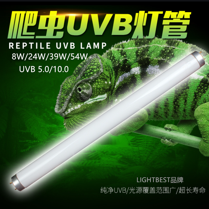 Qu'estce que la lumière ultraviolette UVB pour reptiles ?